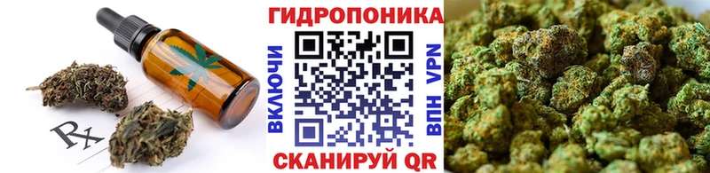 даркнет наркотические препараты  Димитровград  Еда ТГК марихуана  где можно купить  