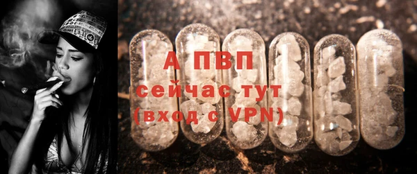 СК Абаза