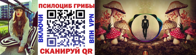 Галлюциногенные грибы GOLDEN TEACHER  где найти наркотики  Димитровград 